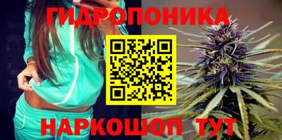 Альфа ПВП Нальчик