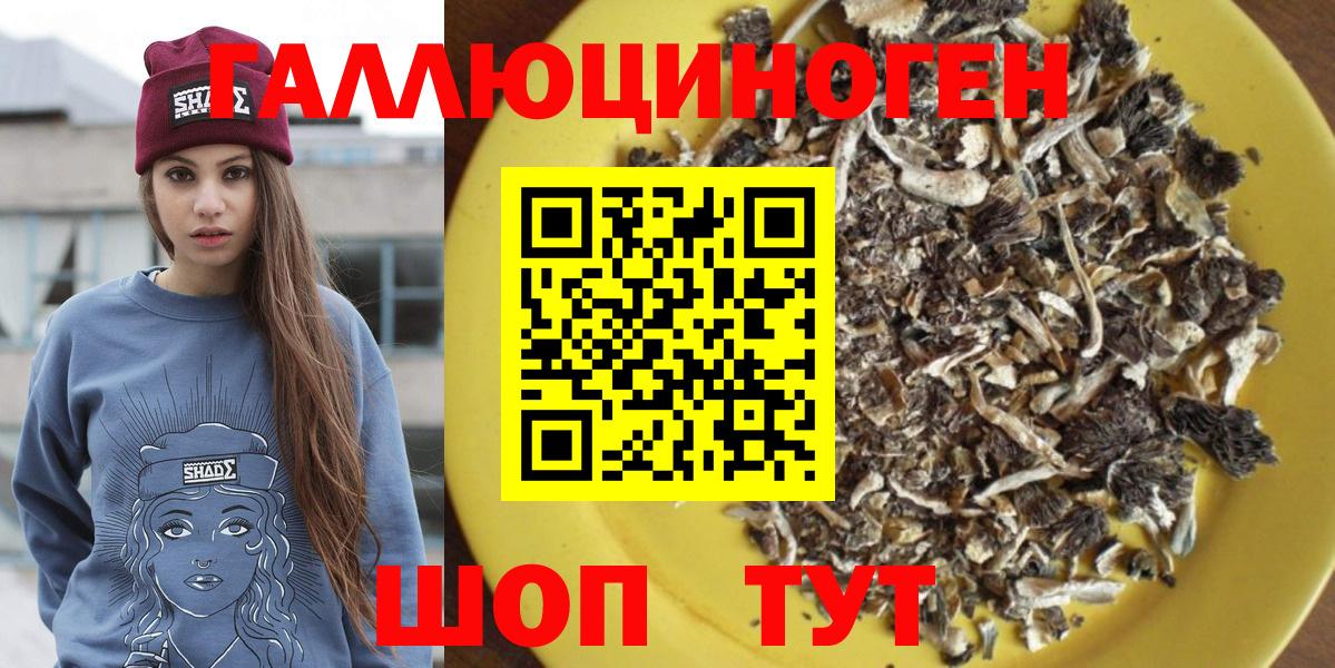 Удомля  Псилоцибиновые грибы Cubensis  Псилоцибиновые грибы MAGIC MUSHROOMS  Вход с VPN 